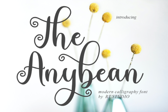The Anybean: A Handwritten Font for Crafters and Product Makers